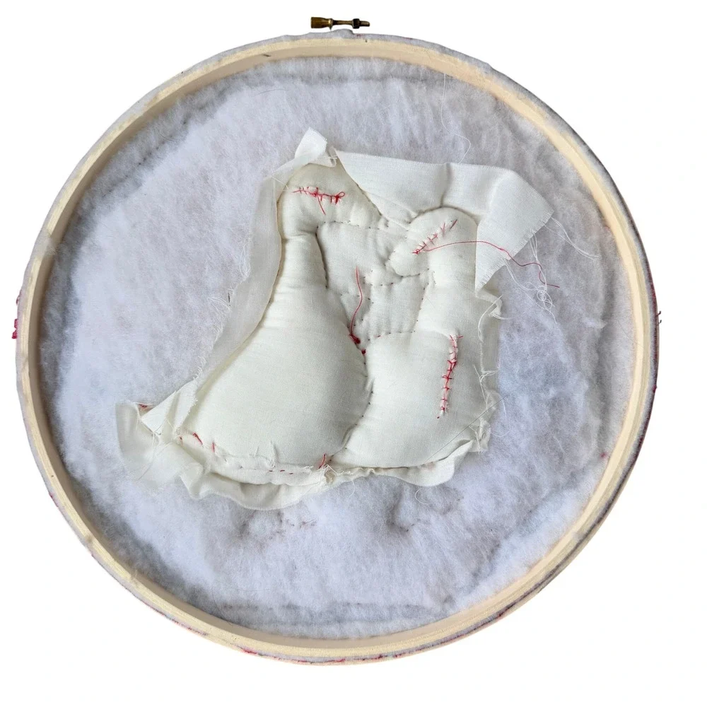 Vintage 70s Handmade Goose Wall Art Embroidery‎ Hoop Cottagecore
